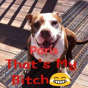 Meet your Posher, Brandi